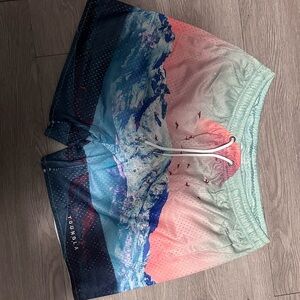 YoungLA Mountain Print Athletic Shorts in Teal, Blue, Coral